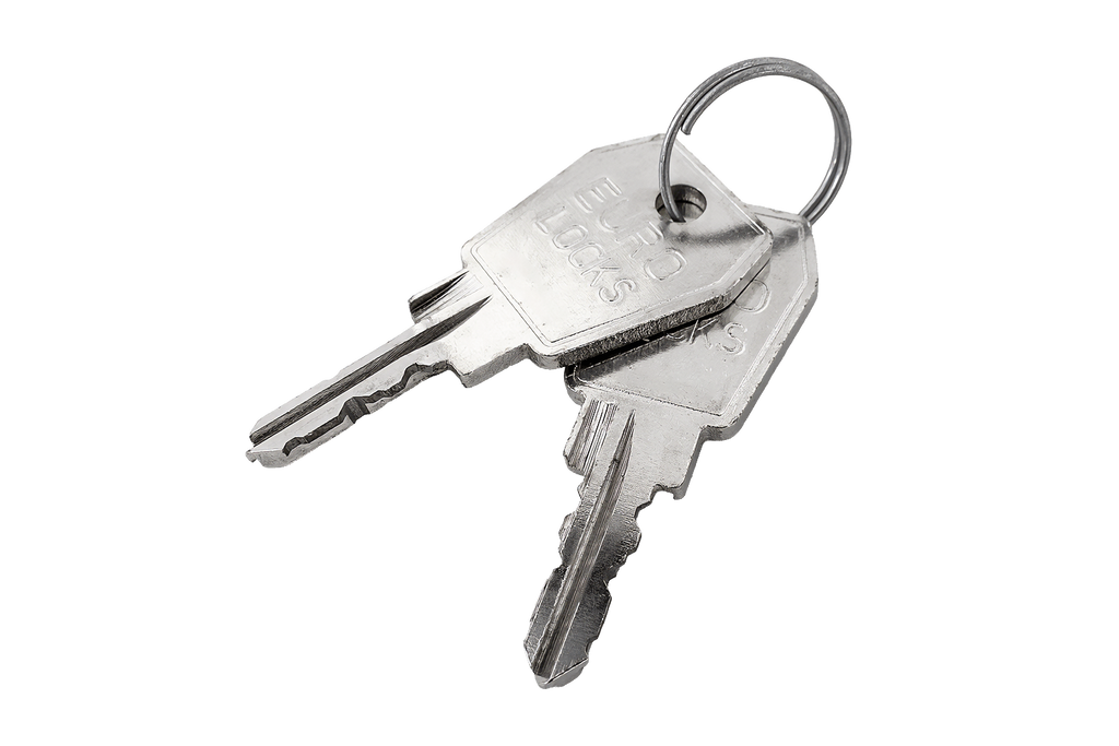 Carver sleutel 25027 (2 stuks)