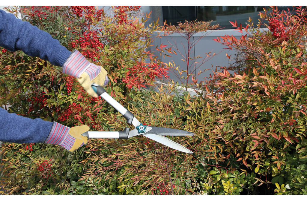 LAMPA Shammy werkplaatshandschoenen, leren handschoenen maat 9