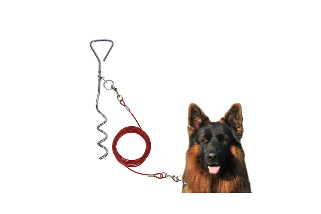 ProPlus 361857 hondenaanlijnpaal met stalen kabel van 4,5 m