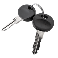 Traxer sleutel nr. 2010 (2 stuks)