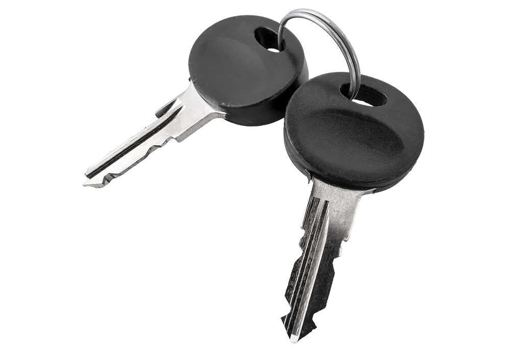 Traxer sleutel 2025 (2 stuks)