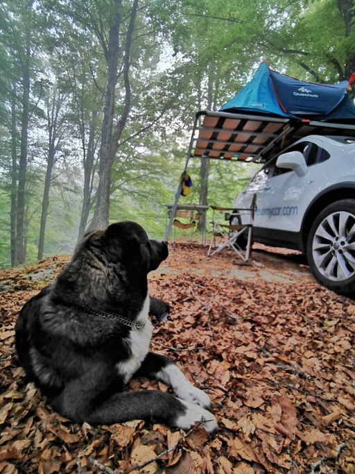 Dakplatform voor CampUp-tent - Karma 50.130