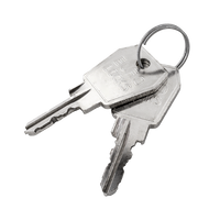 Carver sleutel 25027 (2 stuks)